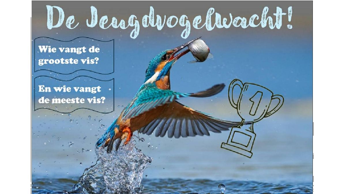 Jeugdvogelwacht organiseert viswedstrijd
