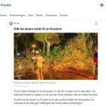 Boom over de weg door storm Benjamin
