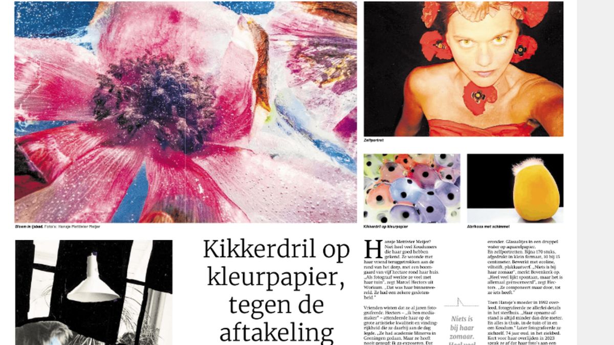 Friesch Dagblad over expositie in Beeldhouwcentrum