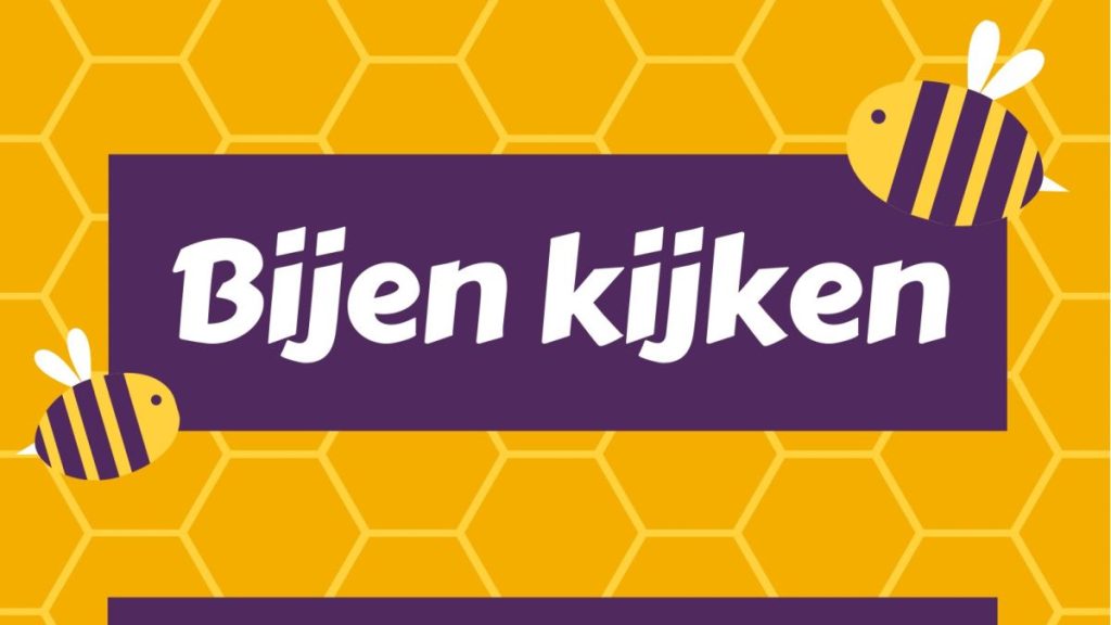 Bijen kijken