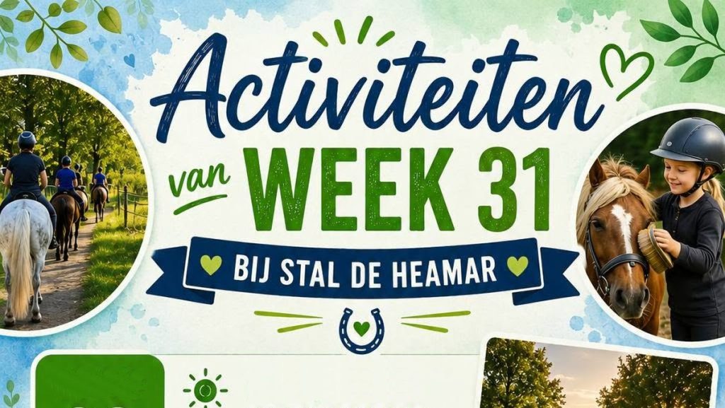 Stal De Heamar: Buitenrit