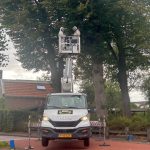 Aziatisch hoornaarnest verwijderd